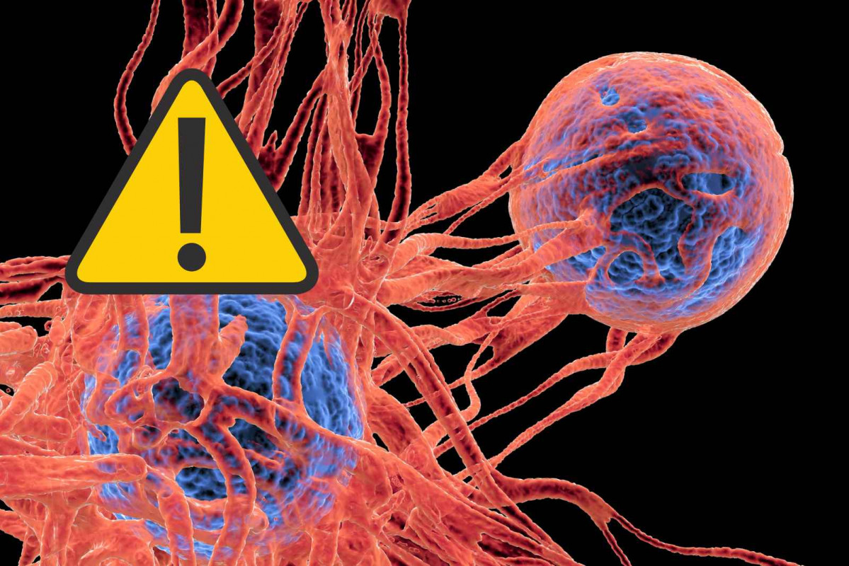 Una célula cancerígena