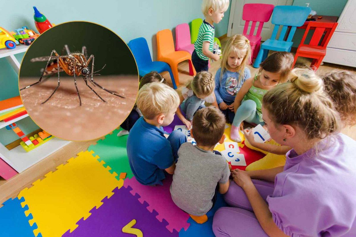 Mosquito, guarderia   CANVA