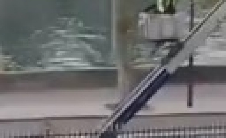 VÍDEO | Aparecen las primeras imágenes de los ladrones del  Louvre en la escalera