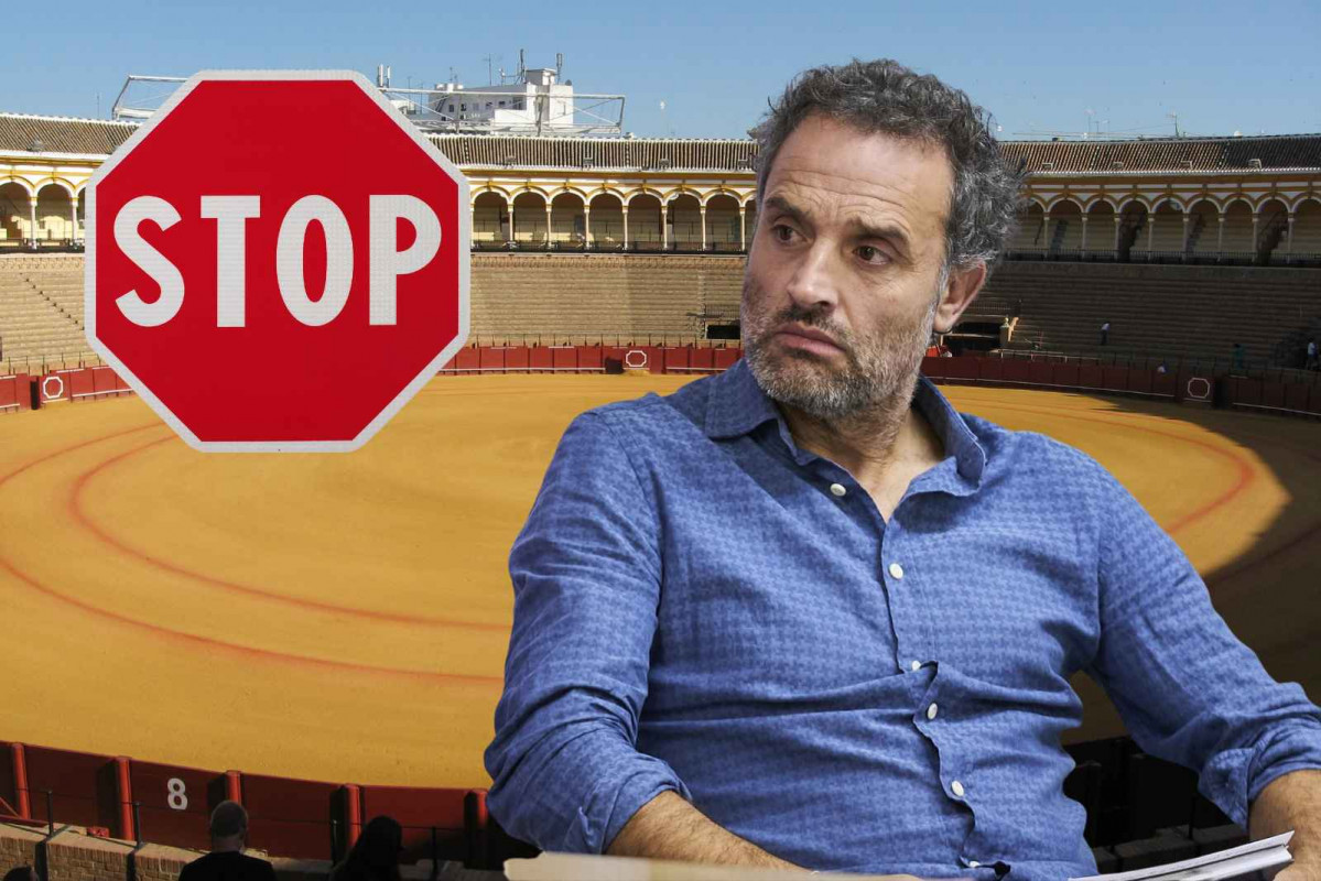 Plaza de toros, Daniel Guzmán, STOP