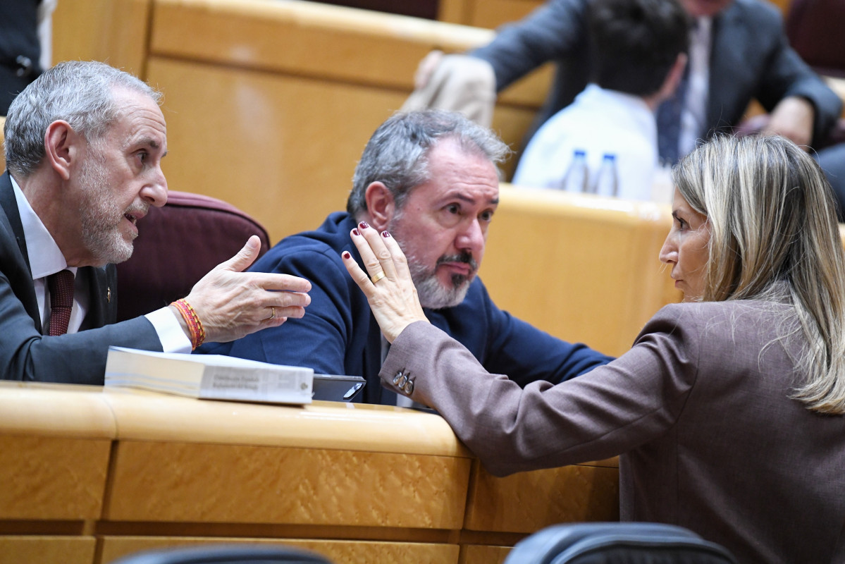 EuropaPress 7044395 portavoz pp senado alicia garcia sesion control gobierno camara alta 21