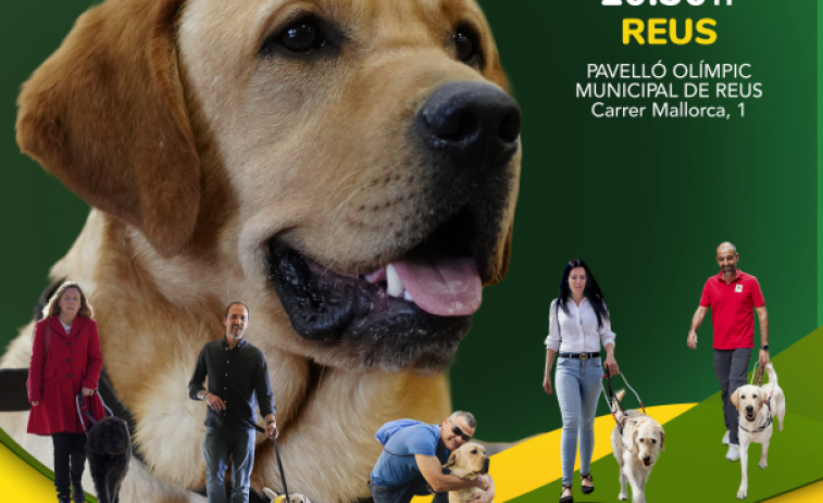 Reus, escenario de la gran exhibición de Perros Guía de la ONCE