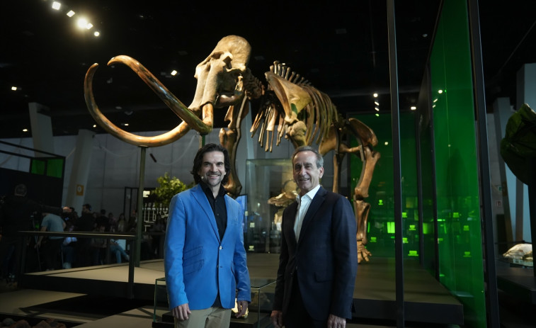 Un mamut lanudo de 50.000 años llega a Barcelona de forma indefinida