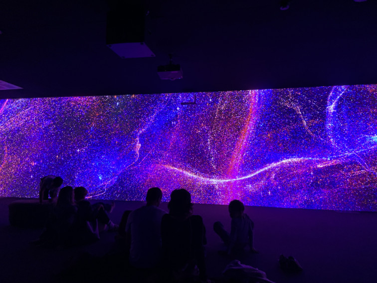 VÍDEO | La riqueza de la naturaleza en CaixaForum : una exposición que deja sin palabras