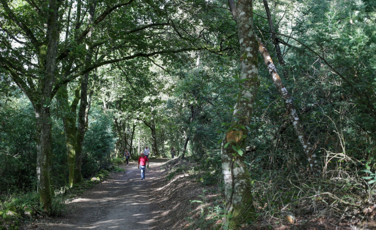 El cambio climático, cada vez, menos preocupante para los españoles