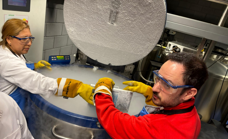 Treinta años de liderazgo: el Banco de Cordón de Catalunya, un modelo mundial de ciencia y generosidad