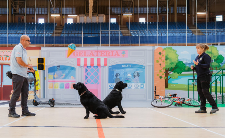 “Mucho más que un perro”: Reus descubre el increíble trabajo de los perros guía de la ONCE