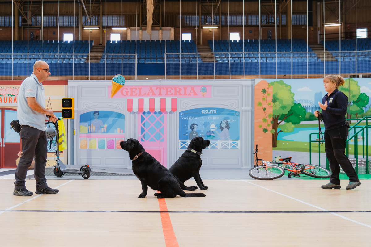 Instructors amb gossos pigall