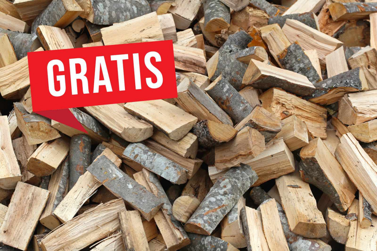 Gratis, leña   CANVA