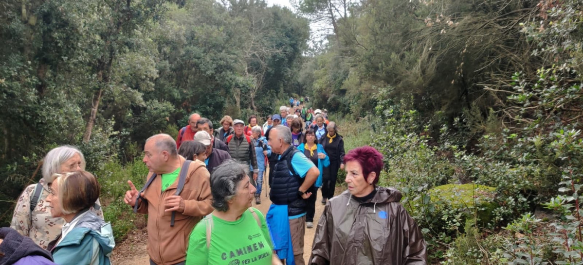 EuropaPress 7069879 ciclo paseos gente mayor organizado diputacion barcelona