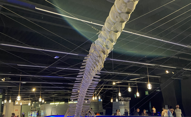 El Museo de Ciencias Naturales : una visita gratuita  a lo invaluable