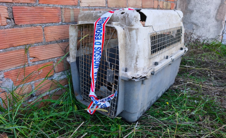 Detenido en Santa Coloma de Farners por matar a su perra lanzándola al agua dentro de un transportín cerrado