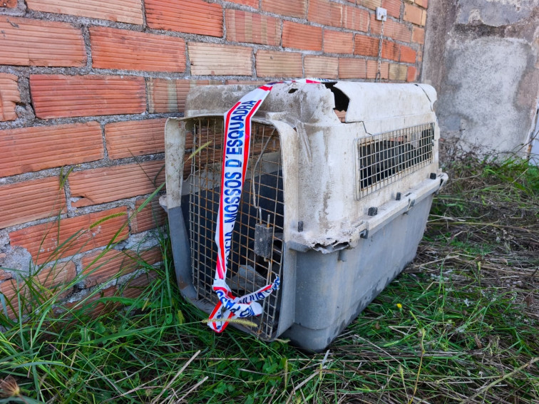 Detenido en Santa Coloma de Farners por matar a su perra lanzándola al agua dentro de un transportín cerrado