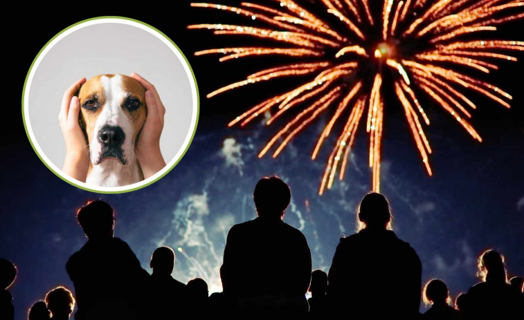 Un perro mata a un bebé de 9 meses tras asustarse por los fuegos artificiales