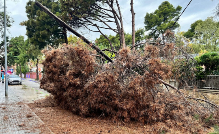 Ráfagas de viento de hasta 72 km/h y lluvias torrenciales: Catalunya en alerta