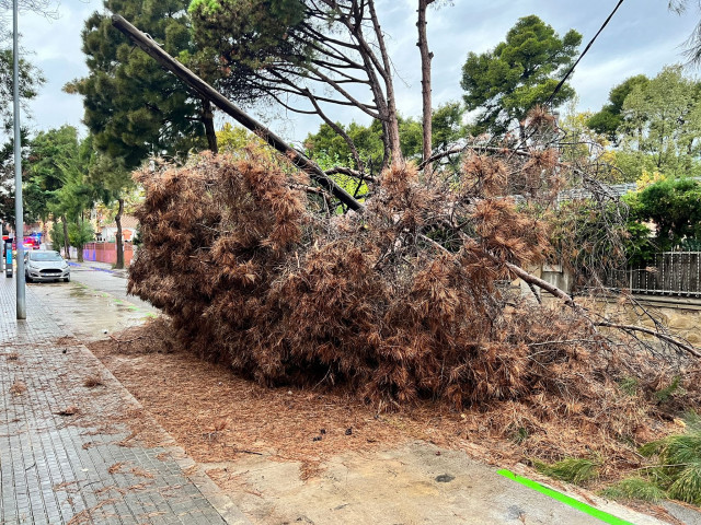 Ráfagas de viento de hasta 72 km/h y lluvias torrenciales: Catalunya en alerta