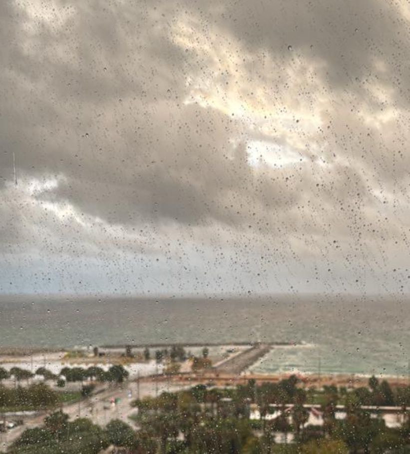 9fdf6d13 0496 47e6 bc7c b6eeb71bc9bc