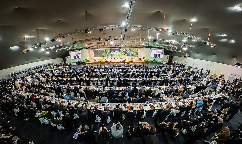 54906212223 4d4cc68344 c