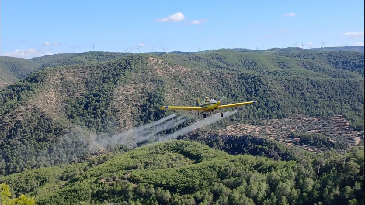Un avión realizando el tratamiento aéreo de un pinar