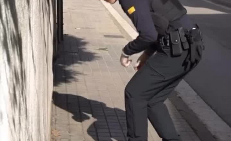 Vídeo | Excrementos bajo control: Tordera usa el análisis de ADN para sancionar a los propietarios de perros que no cumplan