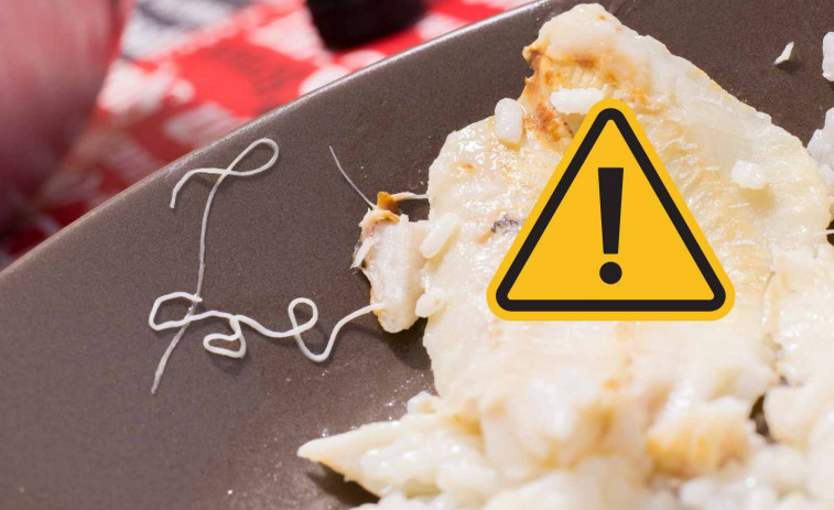 VÍDEO | Analizan una merluza comprada en un supermercado español y descubren que está llena de anisakis