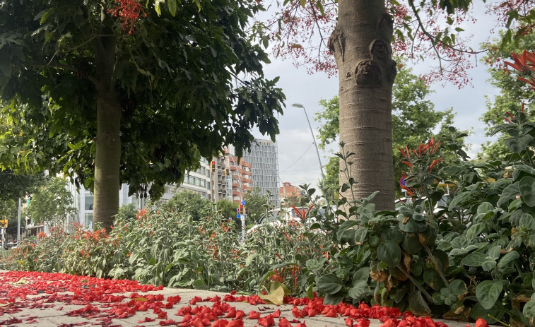 La Generalitat impulsa el relevo agrario con la primera convocatoria pública de acceso a tierras en desuso