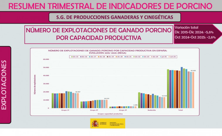 Récords bajo amenaza : la peste porcina africana puede traer la tormenta económica