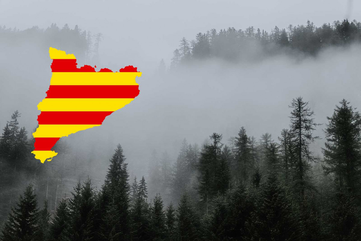 Catalunya, niebla