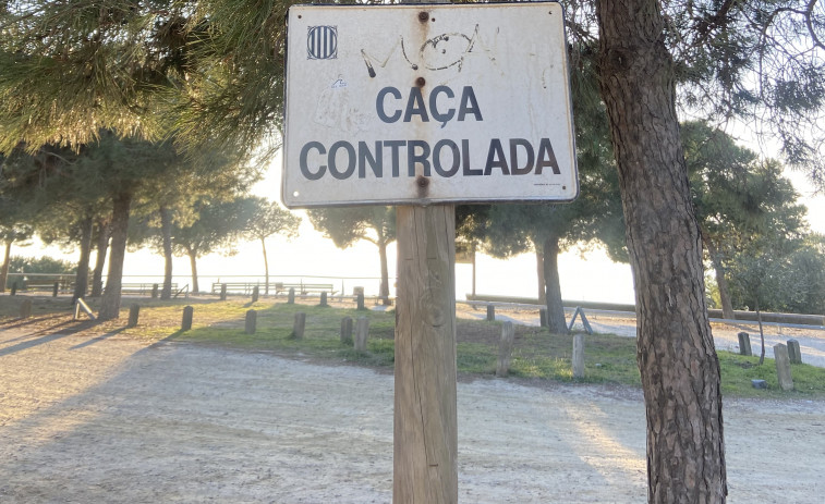 ¿Hay peste porcina en Sabadell? El sistema europeo publica datos muy interesantes