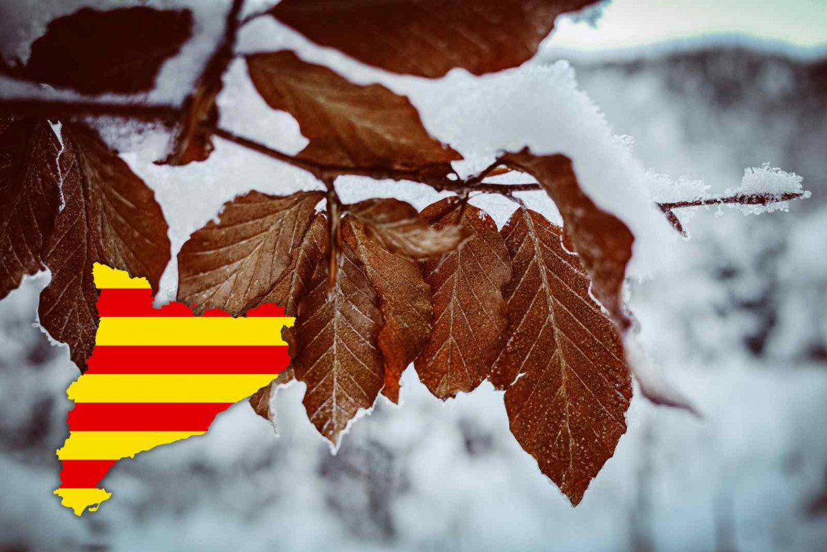 Catalunya, frío