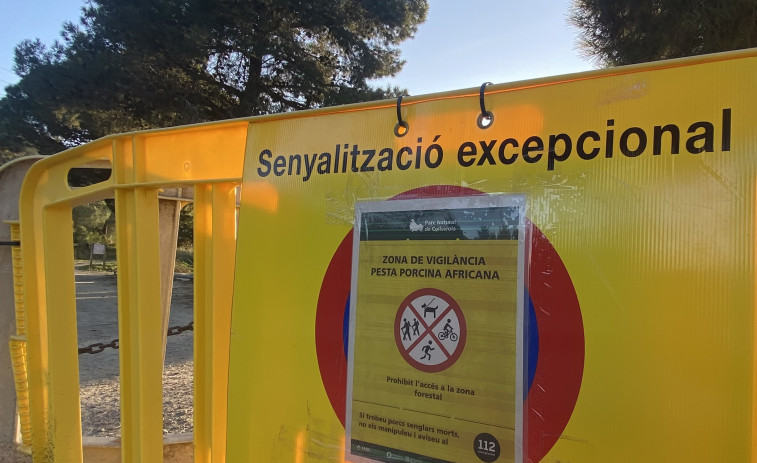 Peste porcina africana : La UE publica la lista de municipios catalanes con restricciones de emergencia