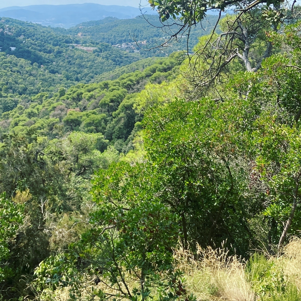 4428B42C 15E0 490C BE16 A21808D015AA