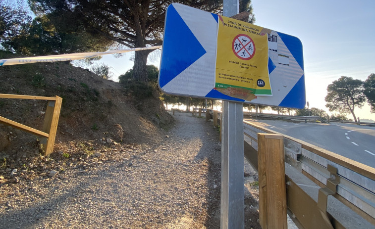 El Govern prohíbe el acceso al espacio  natural en 91 municipios por la peste porcina africana