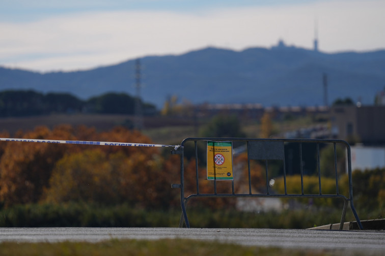 Catalunya inicia el sacrificio de cerdos sanos tras un acuerdo histórico con el sector por la PPA