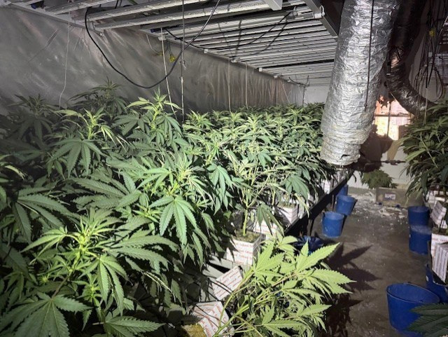 Dos misteriosos fuegos en Sant Martí, Barcelona, revelan redes ocultas de cannabis y un gran fraude energético