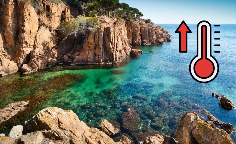Calor extremo en el mar: floraciones tempranas y especies exóticas en la Costa Brava