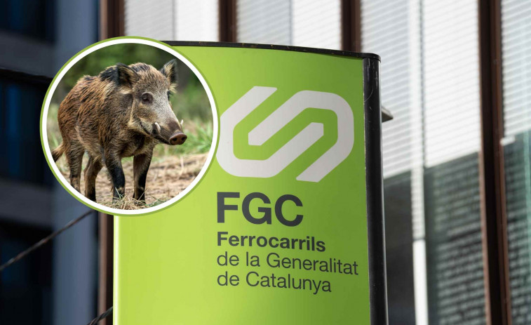 Un tren de FGC atropella a un jabalí: activados los protocolos de PPA e interrumpida la circulación de la S2