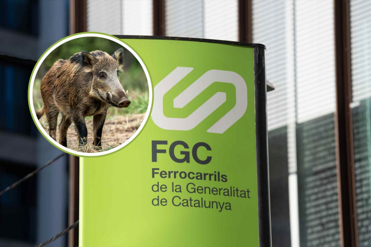 Un tren de FGC atropella a un jabalí: activados los protocolos de PPA e interrumpida la circulación de la S2