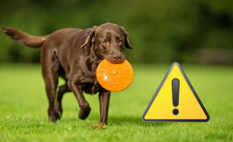 Horror en El Catllar (Tarragona): un vecino mata a puñaladas al perro de un joven y sigue en libertad