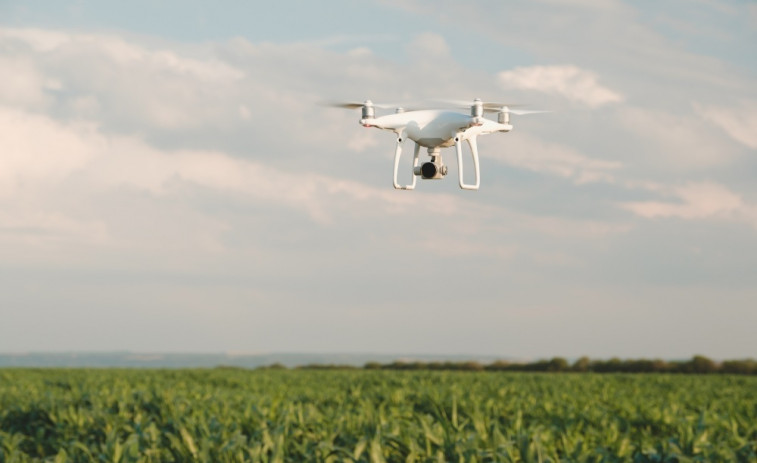 CaixaBank crea un catálogo específico para empresas agroalimentarias en Facilitea