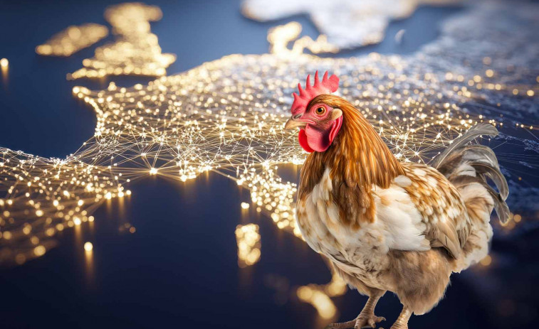 Alerta mundial por la gripe aviar: científicos simulan una pandemia con una mortalidad del 48% en humanos