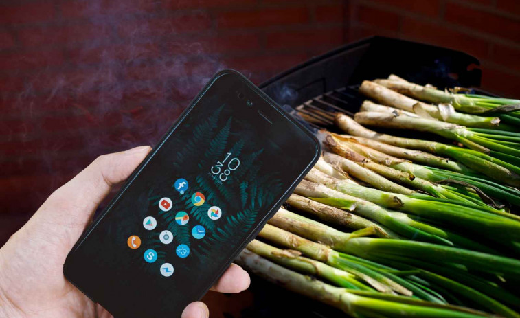 Llega la 'Calçotapp', la primera 'app' dedicada a los amantes de los calçots