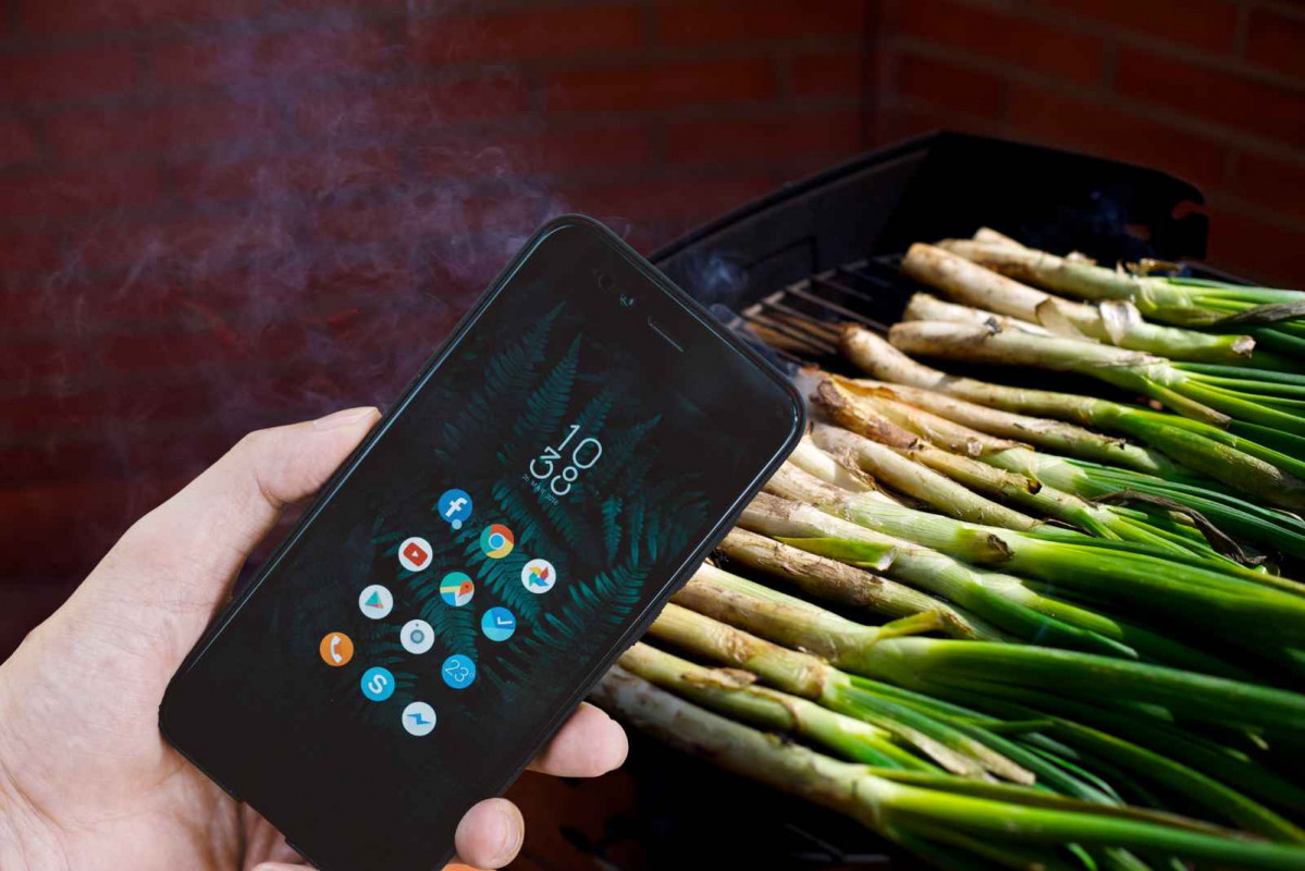 Calçots, app   CANVA