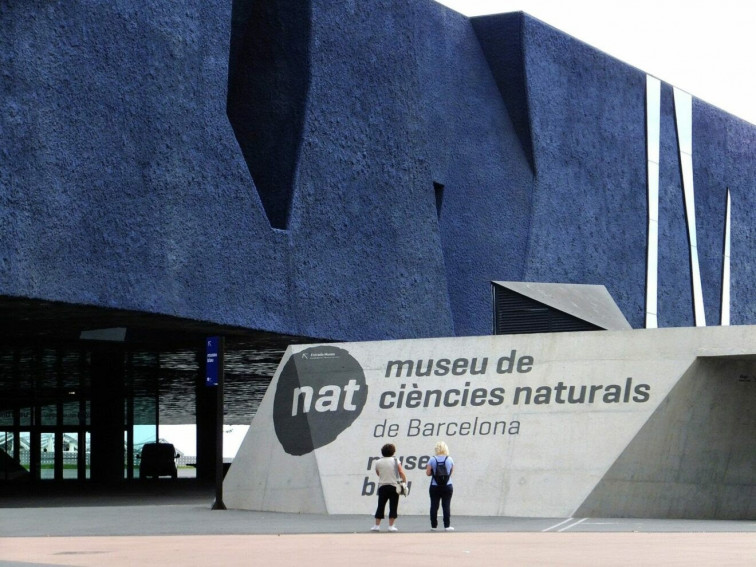 Navidad científica: el Museu de Ciències Naturals ofrece actividades para toda la familia
