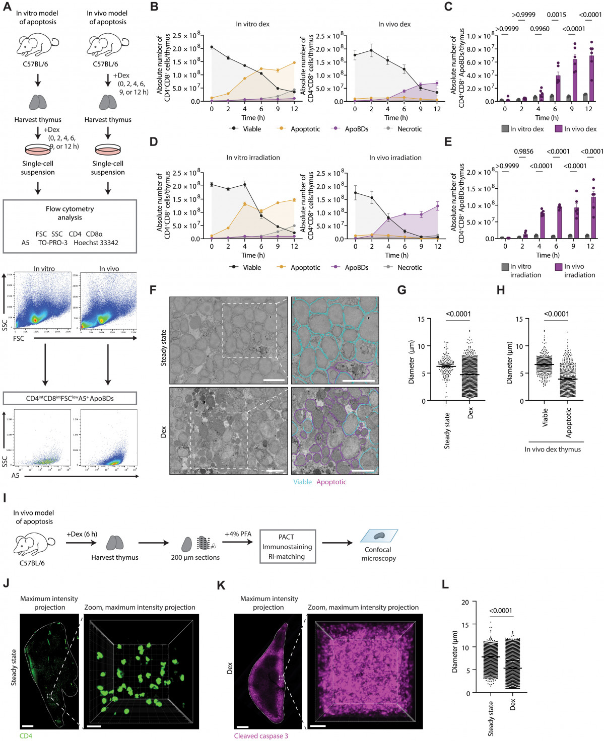 Sciadv.adz5264 f1 (1)