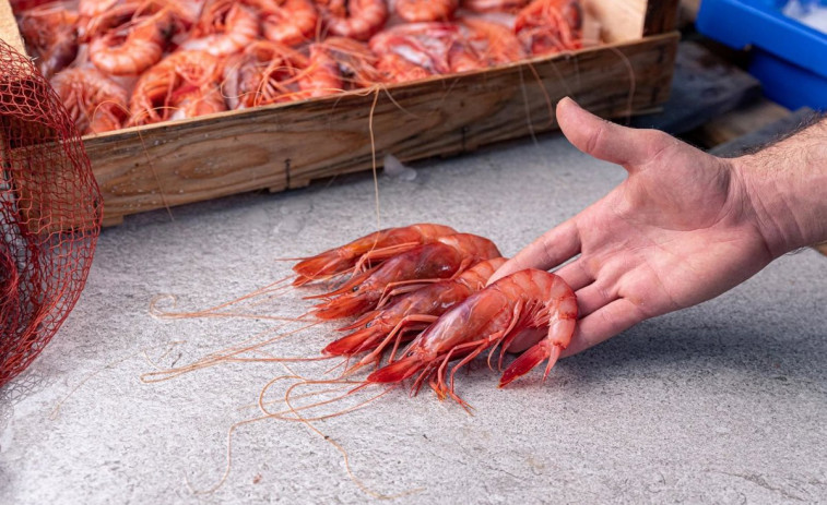 La cuenta atrás de Navidad dispara el precio del pescado en Tarragona