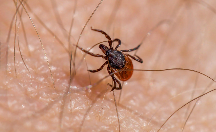 VIDEO | El cambio climático 