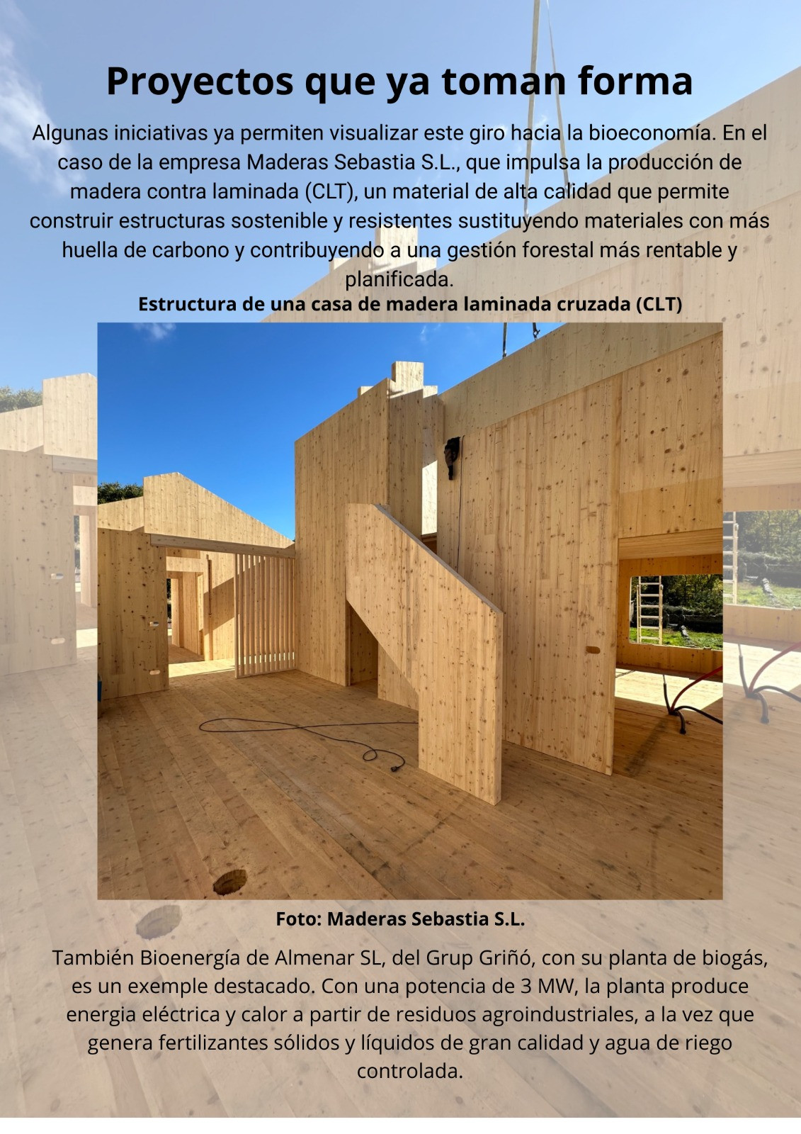 WhatsApp Image 2025 12 25 at 19.35.03