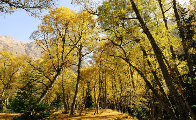Inyección económica para la bioeconomia de 269 millones de euros