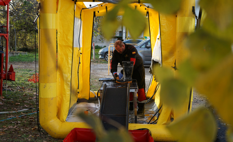 Peste porcina africana: la diferencia entre las cepas del brote y el laboratorio deja más preguntas que antes